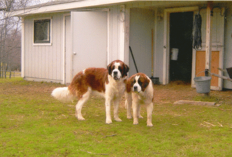 Oliver & Judy